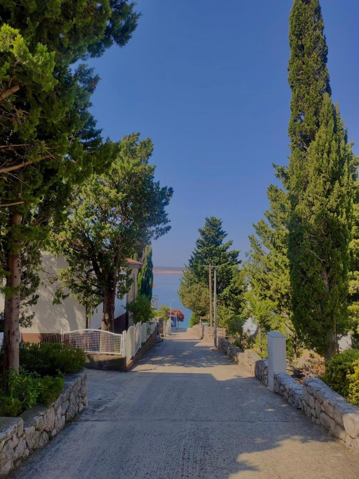 Modern Seaview House Fiore 스타리그라드 파클레니차 외부 사진