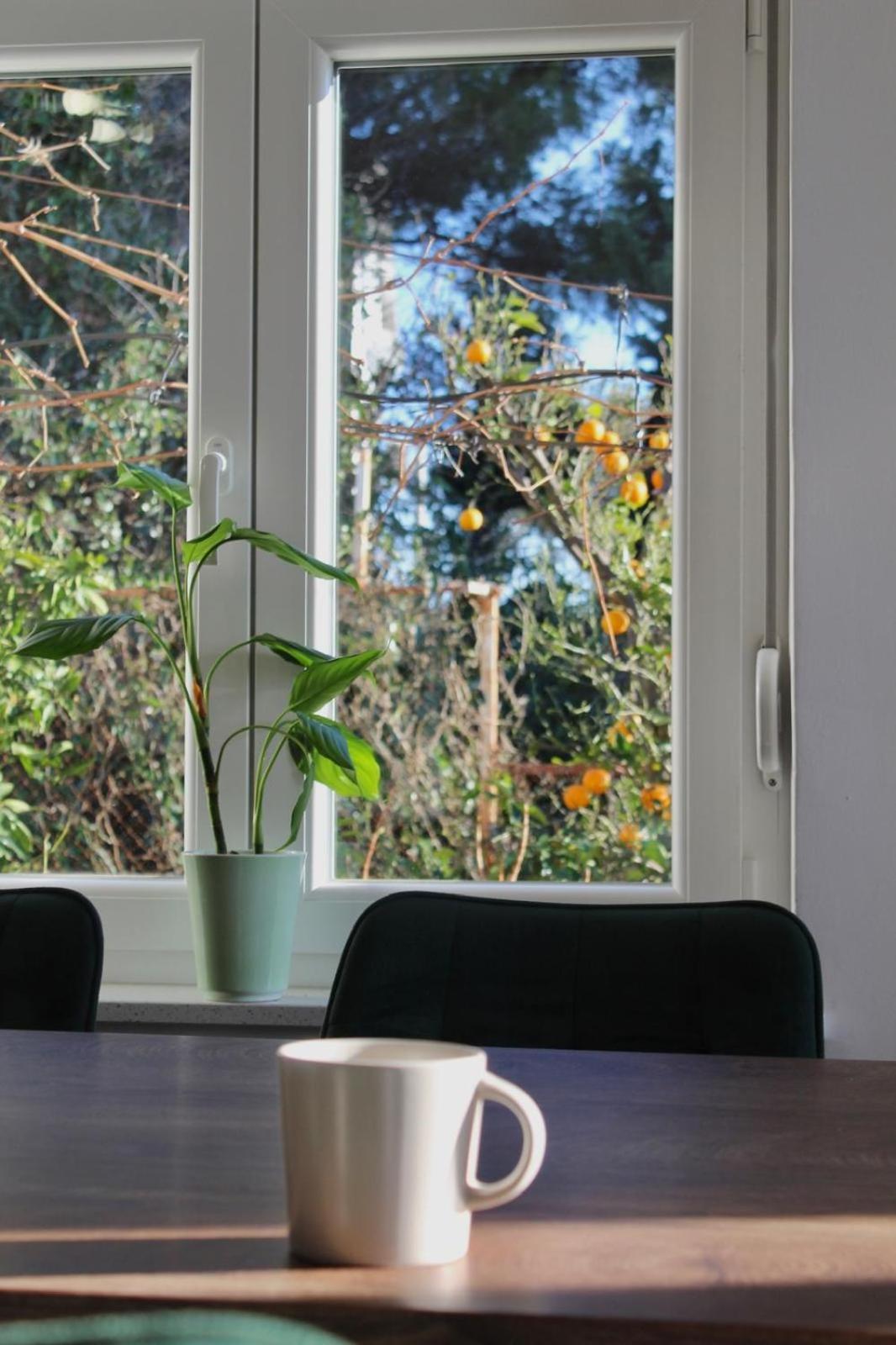 Modern Seaview House Fiore 스타리그라드 파클레니차 외부 사진
